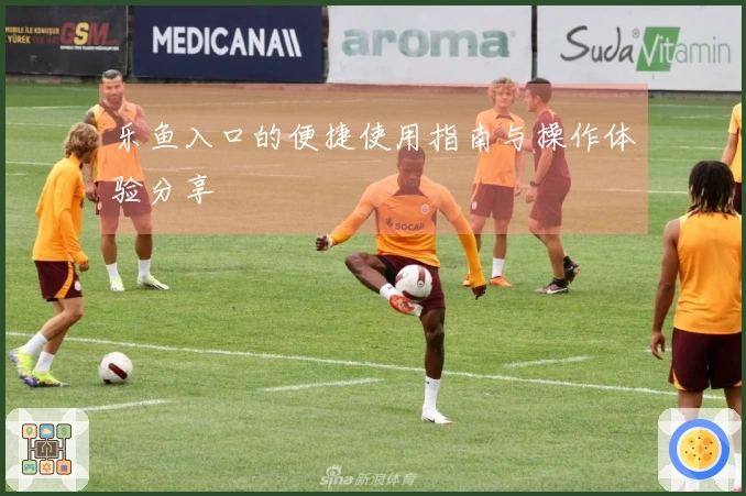 乐鱼入口的便捷使用指南与操作体验分享