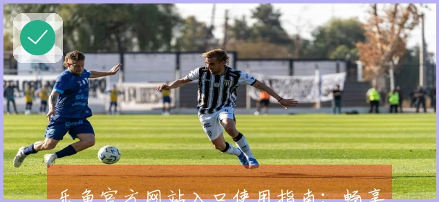 乐鱼官方网站入口使用指南:畅享无缝体验的快捷方式