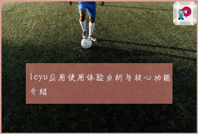 leyu应用使用体验分析与核心功能介绍