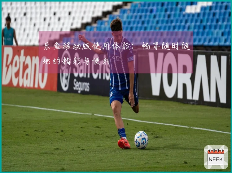 乐鱼移动版使用体验：畅享随时随地的精彩与便利